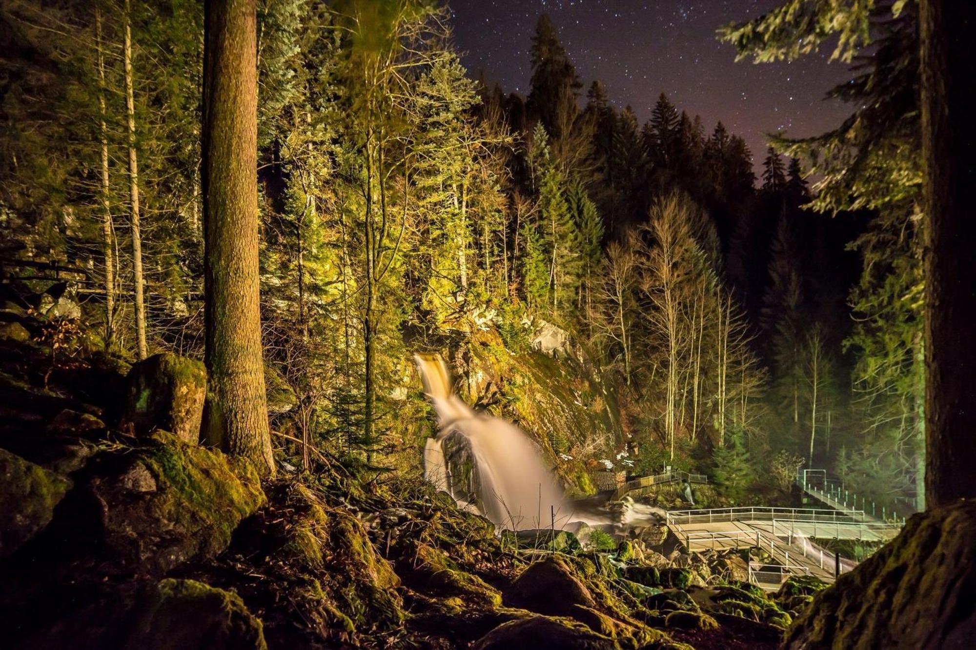Ferienhaus Am Roesslewald Breitnau Bagian luar foto