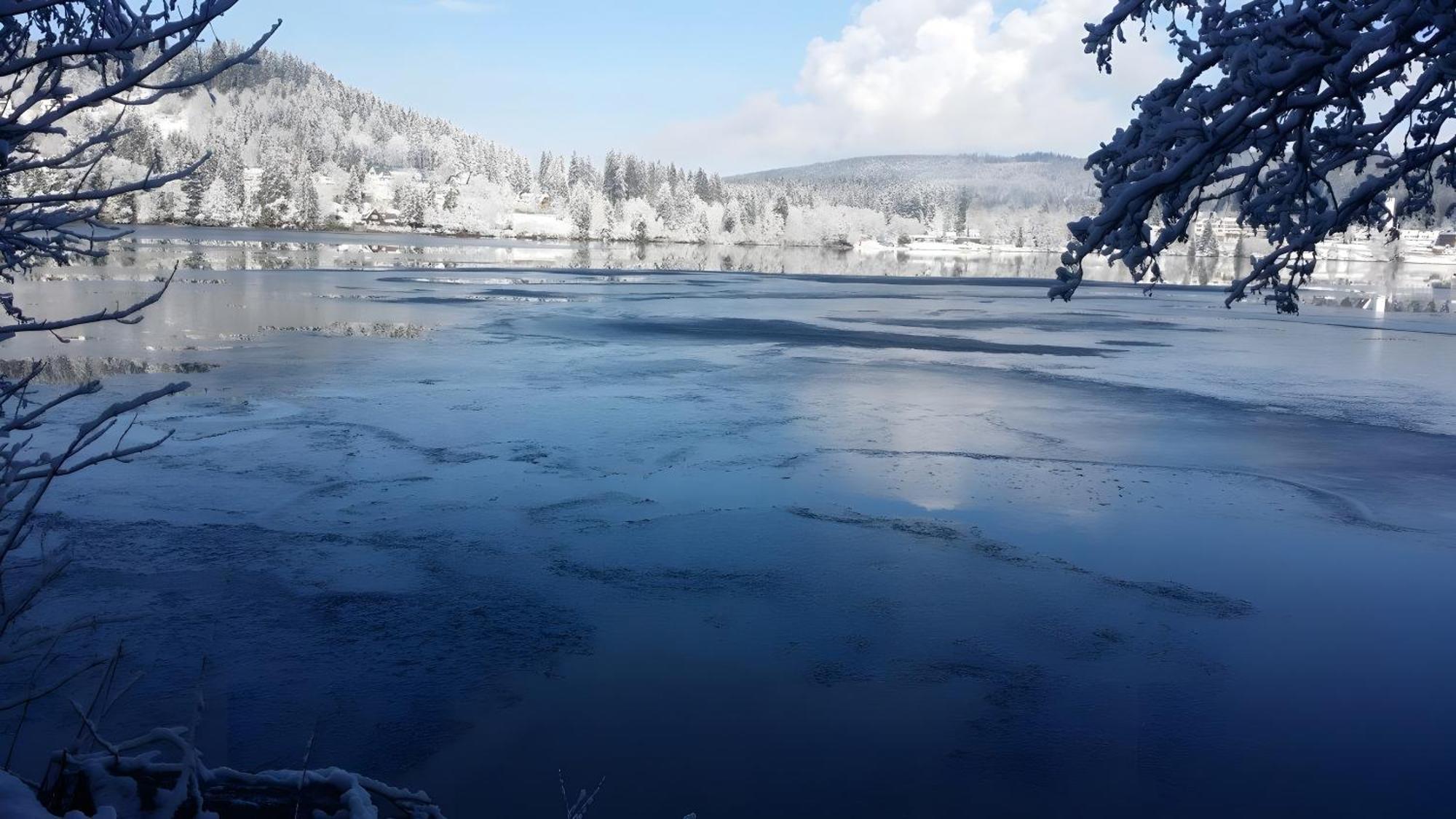 Ferienhaus Am Roesslewald Breitnau Bagian luar foto